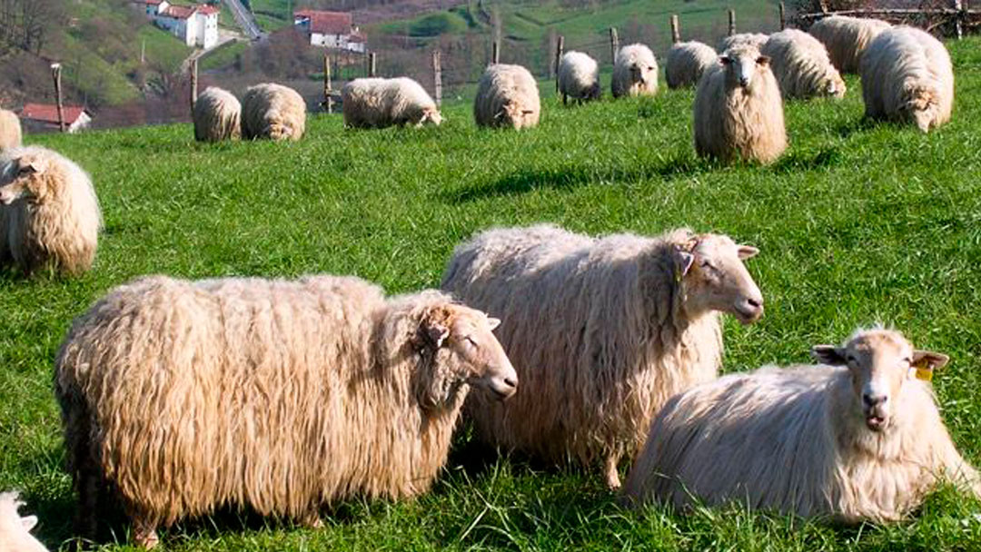 2026ko Artile bilketan izena emateko epea martxoaren 13an amaituko da