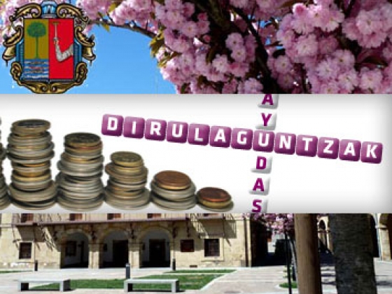 Hainbat dirulaguntza emango ditu Udalak
