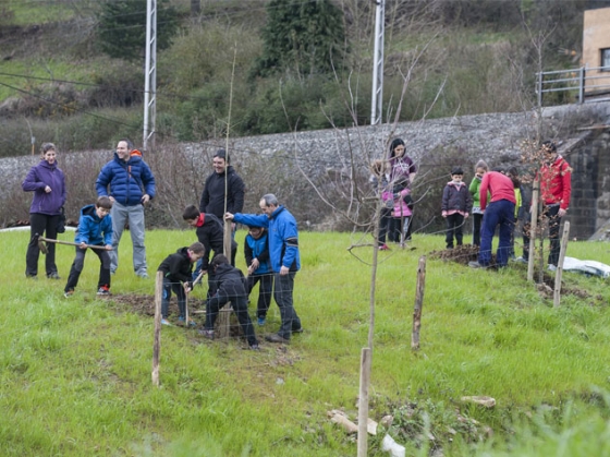 Fotos del Zuhaitz Eguna en Ormakio