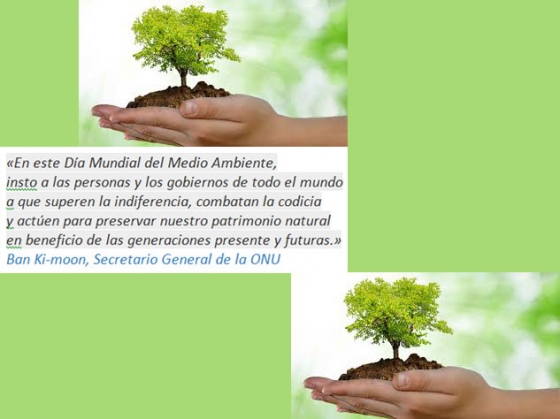 El día 5 de junio se celebra el Día Mundial del Medioambiente