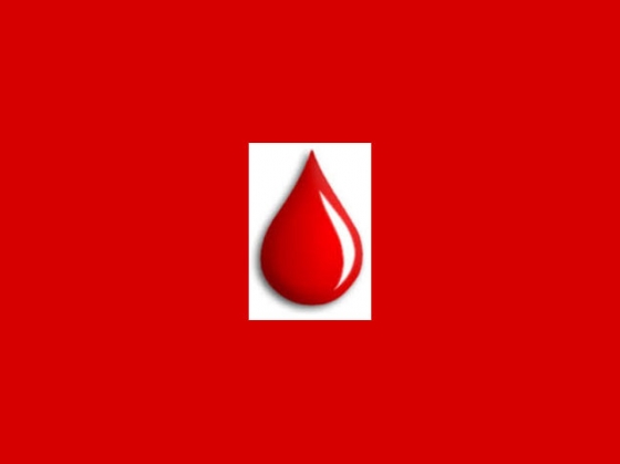 Donantes de Sangre: Jornada de entrega de insignias y diplomas en Legazpi el 24 de octubre