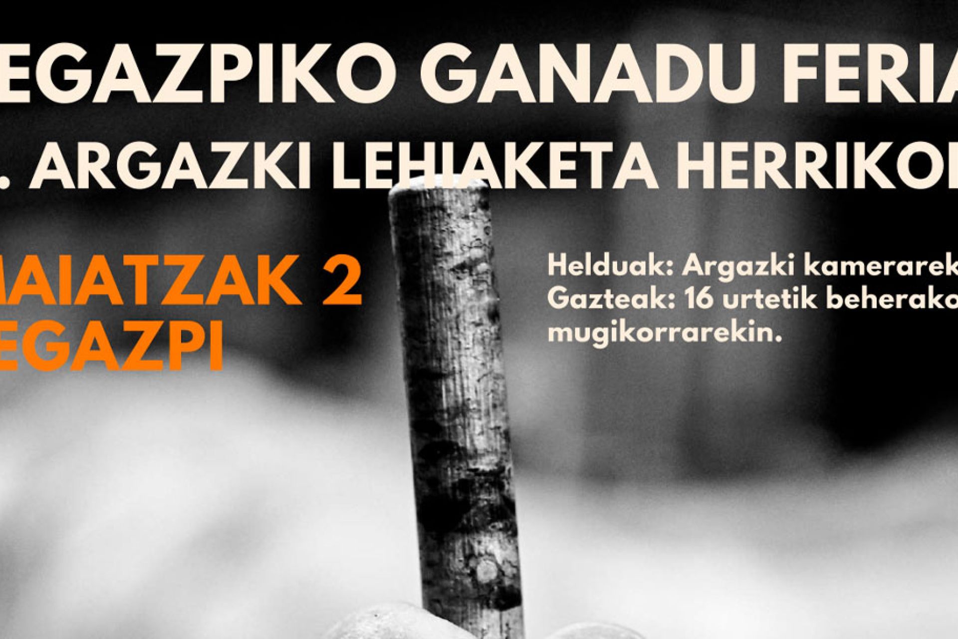 XVI. Ganadu Feria eta Argazki Lehiaketa Herrikoia maiatzaren 2an